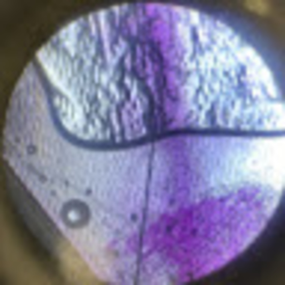 Meet your Posher, Ayomikun